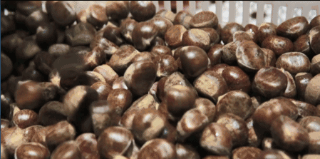 20191211050700341