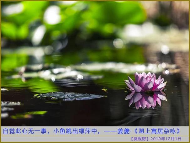 成年人必须为自己的错误买单!