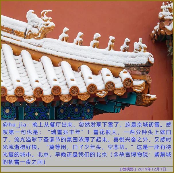 成年人必须为自己的错误买单!