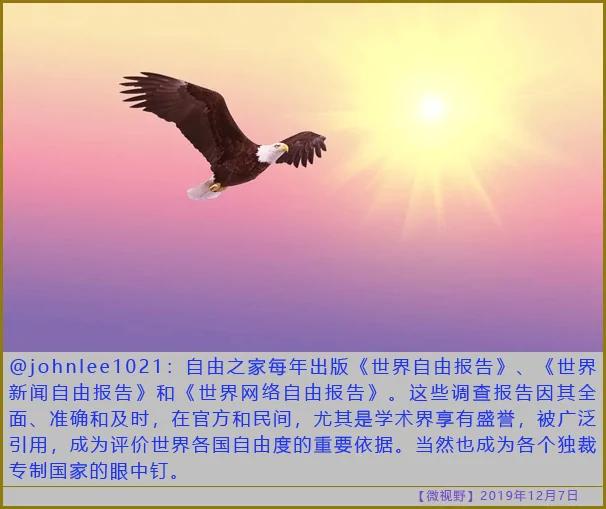 独裁专制国家的眼中钉!