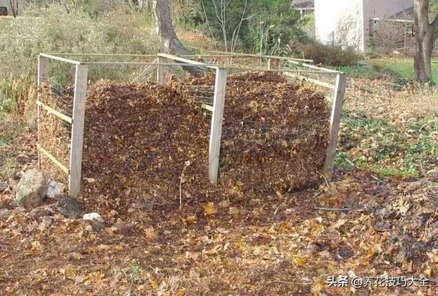 院子里的土壤太貧瘠 用這些方法能在一年內改善 讓植物花卉長好 2 20191217042734265