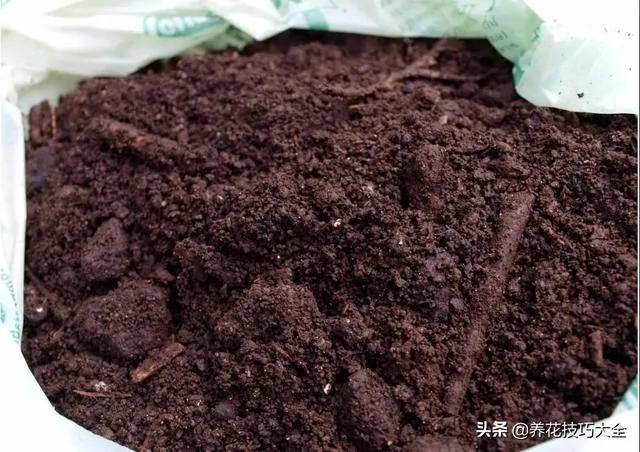 院子里的土壤太貧瘠 用這些方法能在一年內改善 讓植物花卉長好 6 20191217042735871