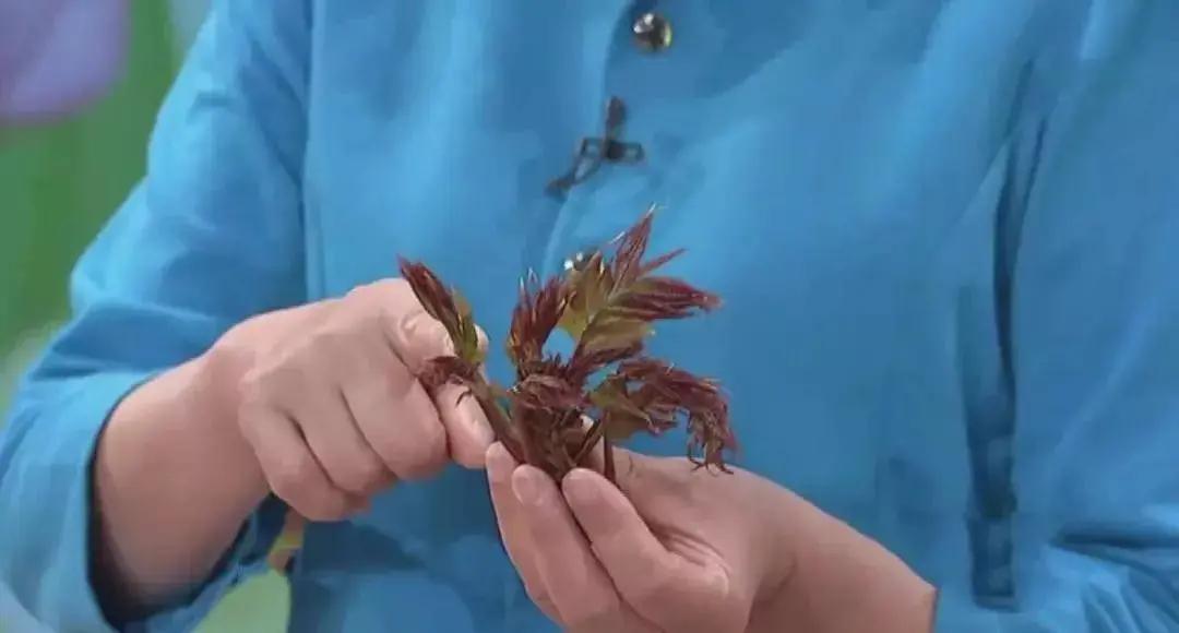 别让这九种“假”蔬菜 骗高了你的血糖