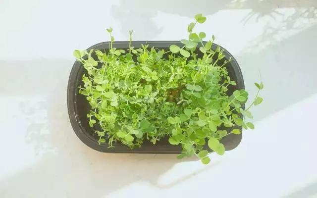 最好的拥有 莫过于静水流深