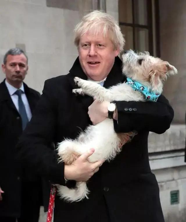 英国首相带着狗狗参加大选 没想到全英国的狗都带来了