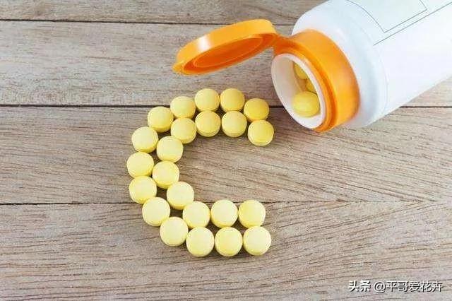 植物长势差?“3种药片”兑水浇 枝叶疯长不停 啥花都喜欢