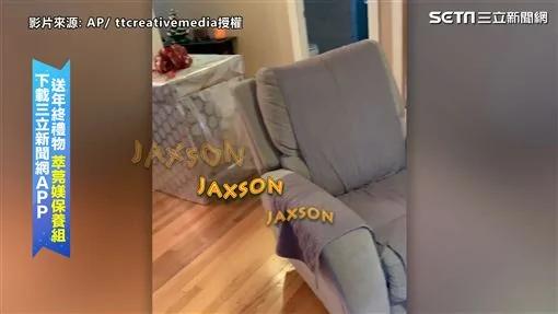 主人隐藏在礼物盒里 惊喜现身吓傻狗狗!