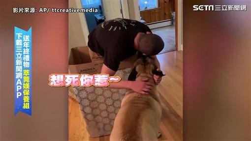 主人隐藏在礼物盒里 惊喜现身吓傻狗狗!