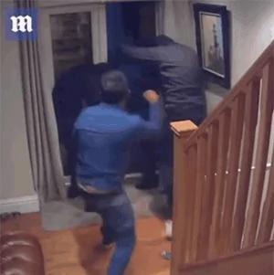 主人以一敌三打跑强盗 两只狗全程叉腰看热闹!