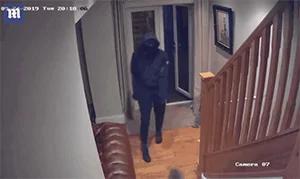 主人以一敌三打跑强盗 两只狗全程叉腰看热闹!