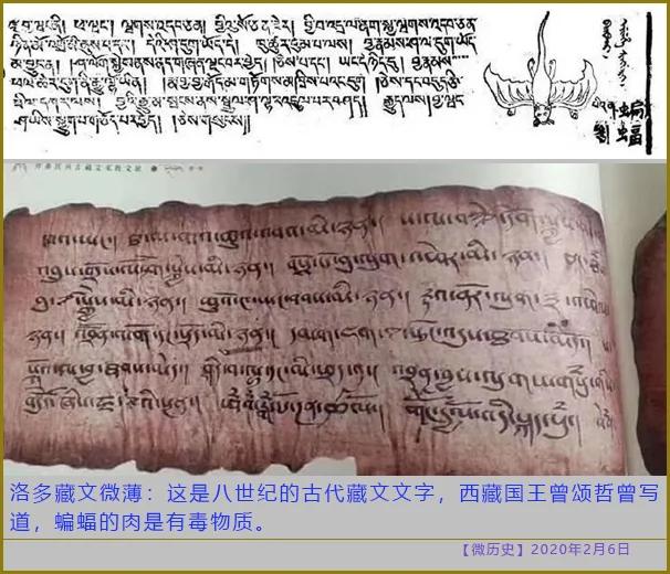曾经发生过实验室病毒泄露事件