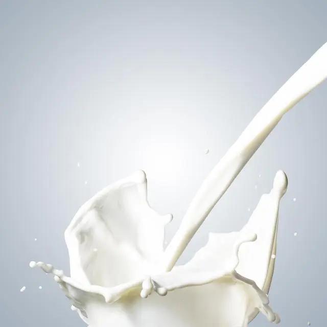十大補鈣佳品 牛奶竟不是第一？