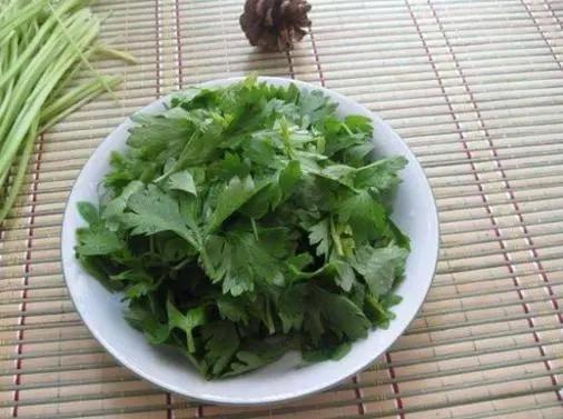 吃芹菜需要扔掉叶子吗?把叶子吃了 对身体有什么影响?