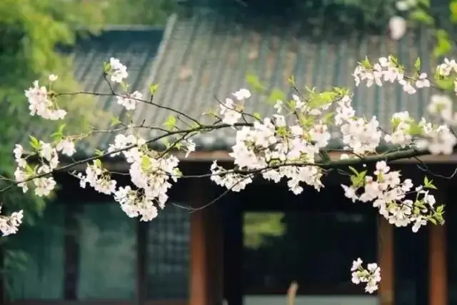 世上最厉害的后悔药(人人必看)