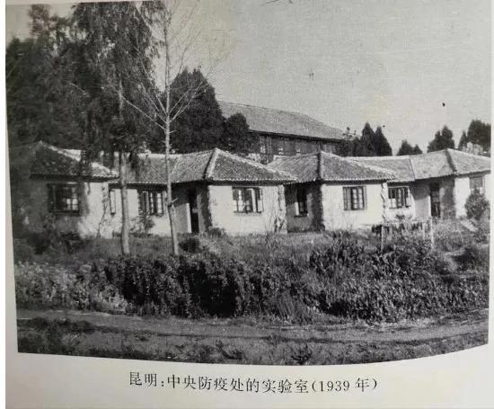 中国第一代病毒学家 救人无数 却被暴政虐杀