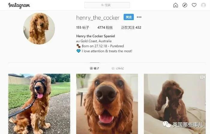 靠打扫卫生成网红 看她家真有代入式满足感