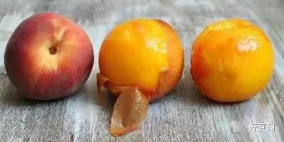 教授教你切西瓜、菠萝、猕猴桃、橙子、芒果…这可能是最好的方法