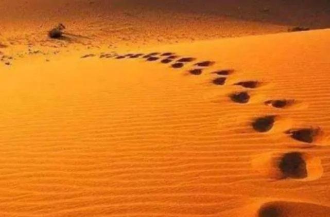 沙漠中的流沙，真的能把人吸進去嗎？別再被電視劇給騙了