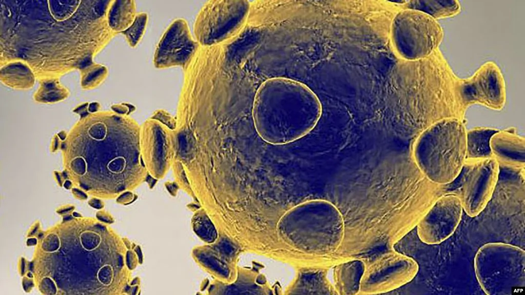 2020年2月27日美国食品和药物管理局提供的讲义插图显示冠状病毒(COVID-19)。