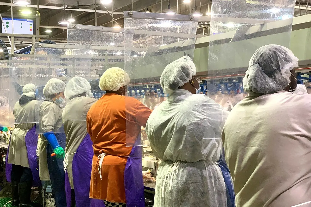 美国Tyson食品公司设在乔治亚州的肉品加工厂，为员工装设防护装备。美联社