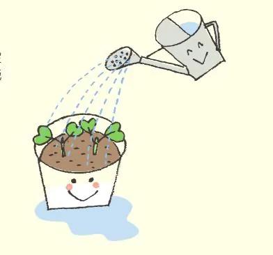 陽台種菜怎麼澆水
