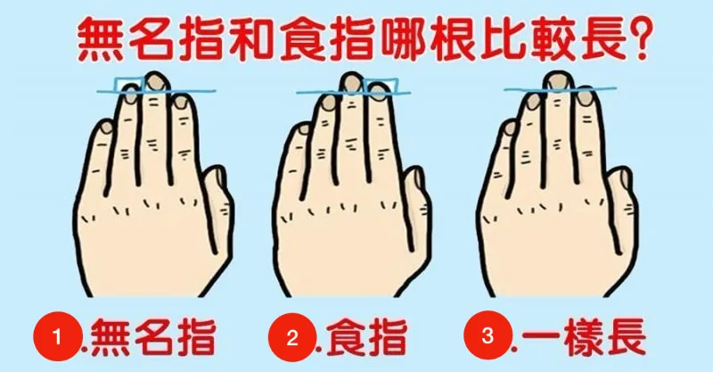 食指与无名指的长短 看出你的性格和命格 神凖 * 阿波罗新闻网