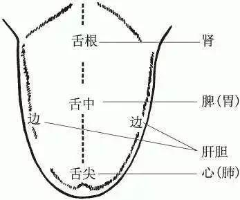 20200613040808334