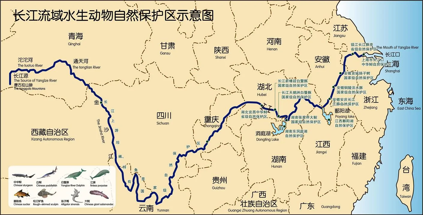 長江地圖全圖大圖