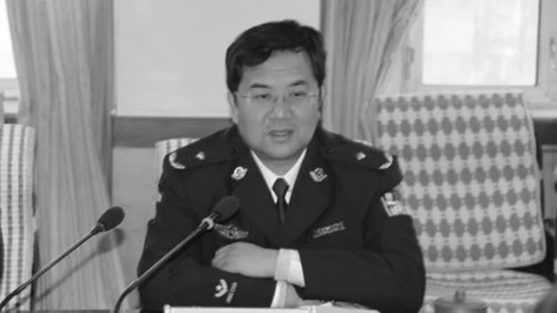 中共新疆政法委副书记戴光辉被查