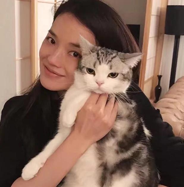 参观舒淇的豪宅 都快50岁了还过得像小女王