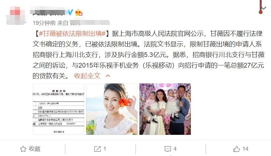 曝贾跃亭前妻甘薇已被限制出境 涉及执行金额5.3亿元