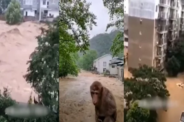 7月9日凌晨起，福建南平武夷山市多地遭遇大到暴雨，洪水泛滥。（视频截图合成）