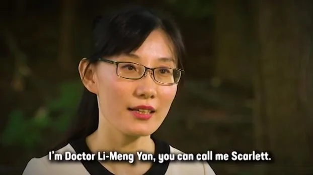 中国外逃病毒专家闫丽梦接受美媒专访。（视频截图）