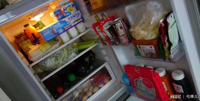 熱的食物能不能直接放冰箱？困擾我們幾十年的問題有答案了