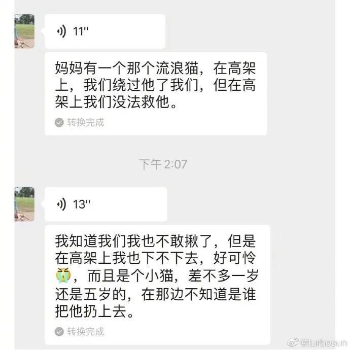 孙俪晒与女儿聊天记录 母女携手救助流浪猫 发文呼吁不要再有伤害