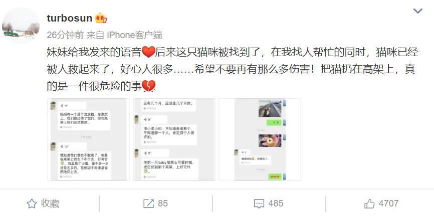 孙俪晒与女儿聊天记录 母女携手救助流浪猫 发文呼吁不要再有伤害