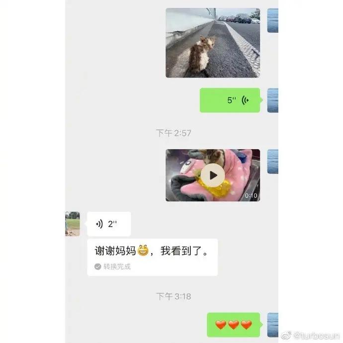 孙俪晒与女儿聊天记录 母女携手救助流浪猫 发文呼吁不要再有伤害