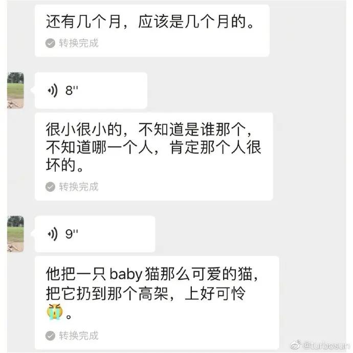孙俪晒与女儿聊天记录 母女携手救助流浪猫 发文呼吁不要再有伤害