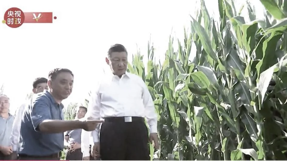 习近平22日在吉林考察农业（视频截图）