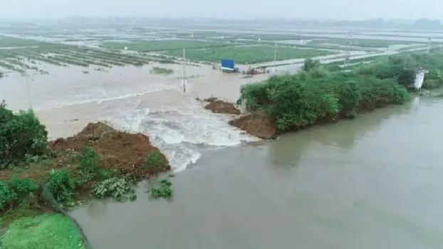 中國水災嚴峻「主動潰堤」 保江浙棄安徽 3千年古鎮淹沒