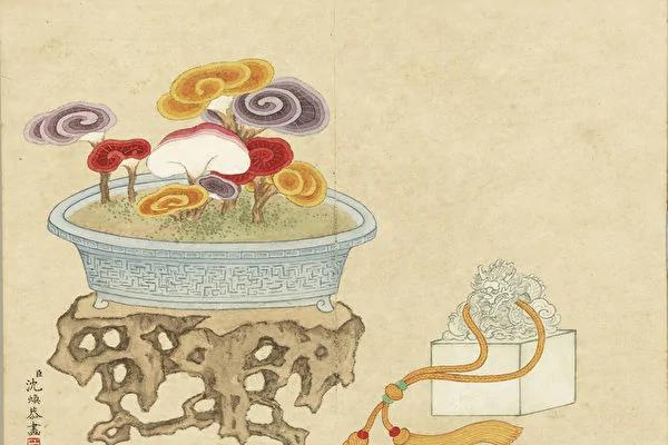 唐朝中興之主憲宗有仙緣 獲贈神奇金龜印