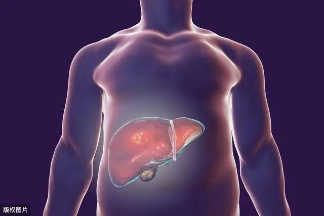 肝臟「超載」前 會發出4種「求救」信號 卻常被忽略