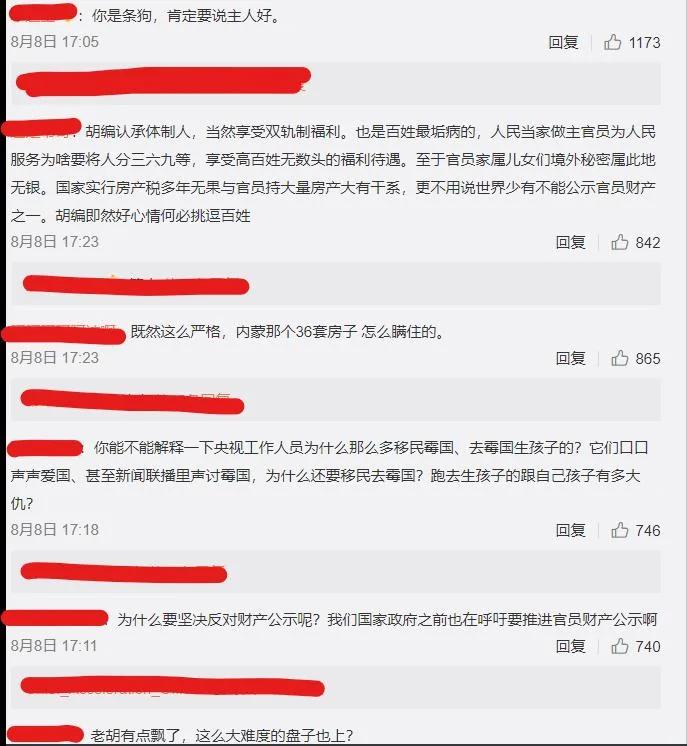 駱惠寧回應制裁 中國網友看熱鬧 胡錫進幫腔又成「豬隊友」