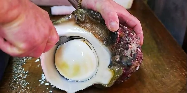 日本男子買下「天價海螺」，拿回家一刀切開後，發現賺大了！_網易視頻