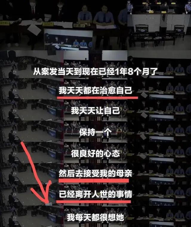 元气少女被迫长大?谭松韵誓为母亲讨回公道 庭审现场泣不成声