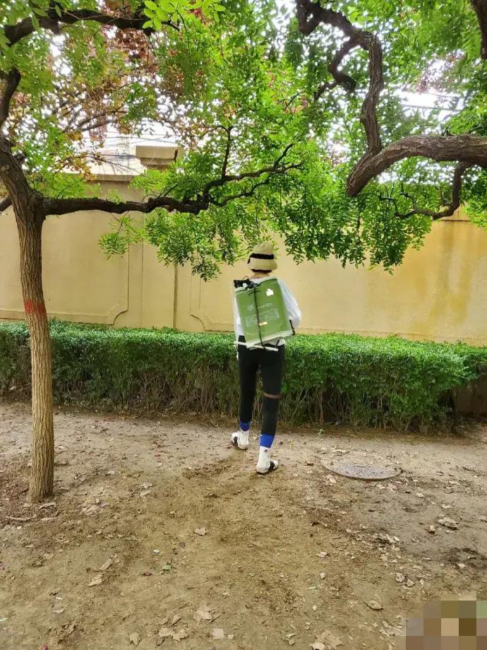 母爱爆棚!张歆艺怕儿子玩耍被蚊子咬 亲自背喷雾器在小区打驱蚊水