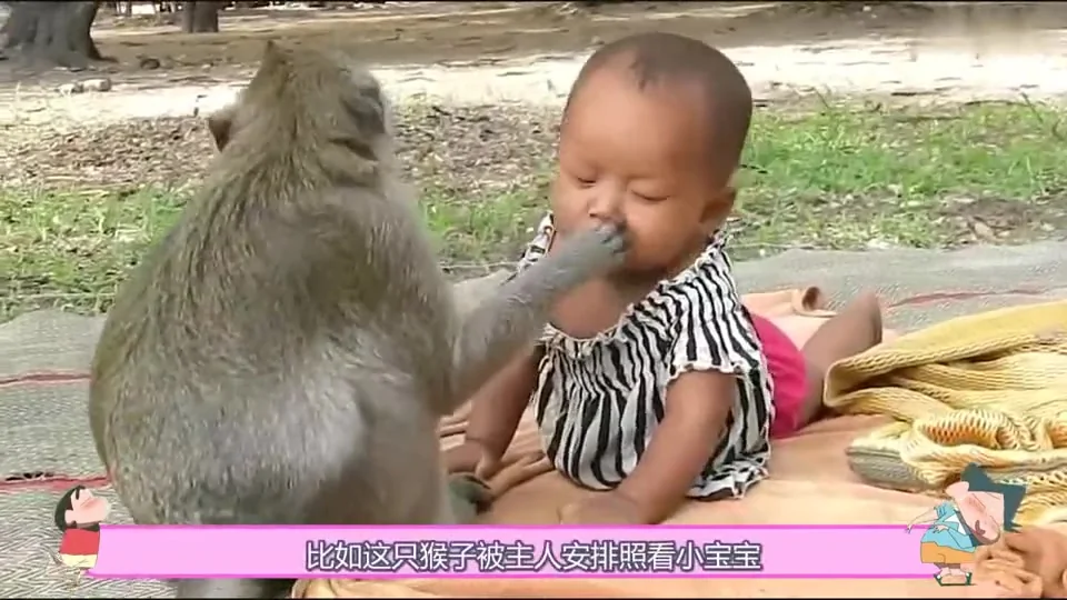主人让猴子帮忙看孩子，接下来太意外了，镜头记录全过程_哔哩哔哩(゜-゜)つロ干杯~-bilibili