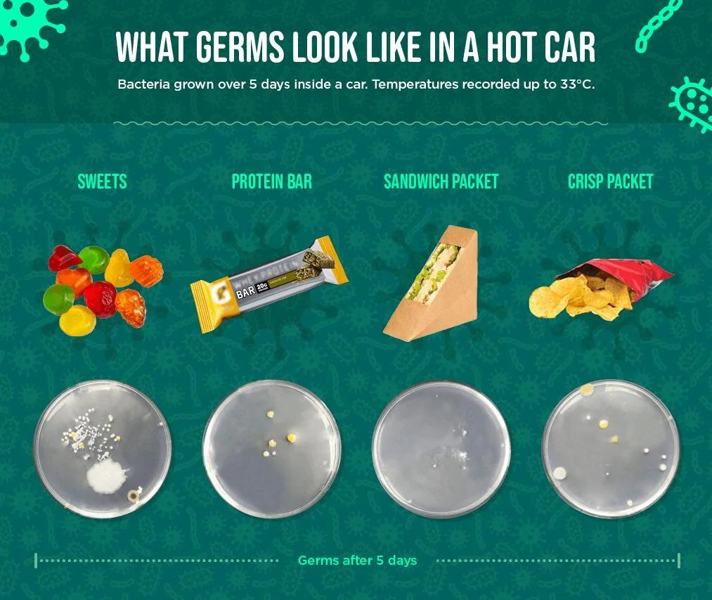 這些東西放車裡或成「健康殺手」！實驗揭示16種物品細菌含量