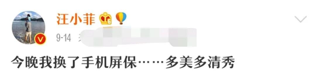汪小菲对大S表忠心 承诺陪老婆过结婚纪念日