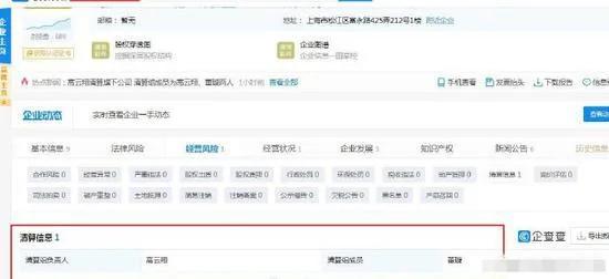 高云翔清算旗下公司 清算组成员为高云翔董璇两人